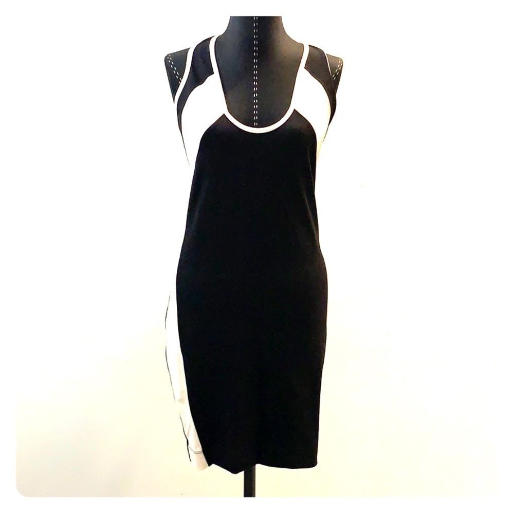 David Lerner Dress